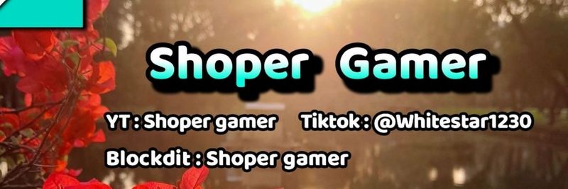 Shoper Gamer (@shopergamer.bsky.social)