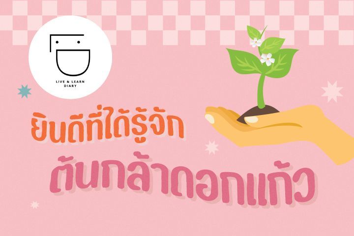 ยินดีที่ได้รู้จัก ต้นกล้าดอกแก้ว
