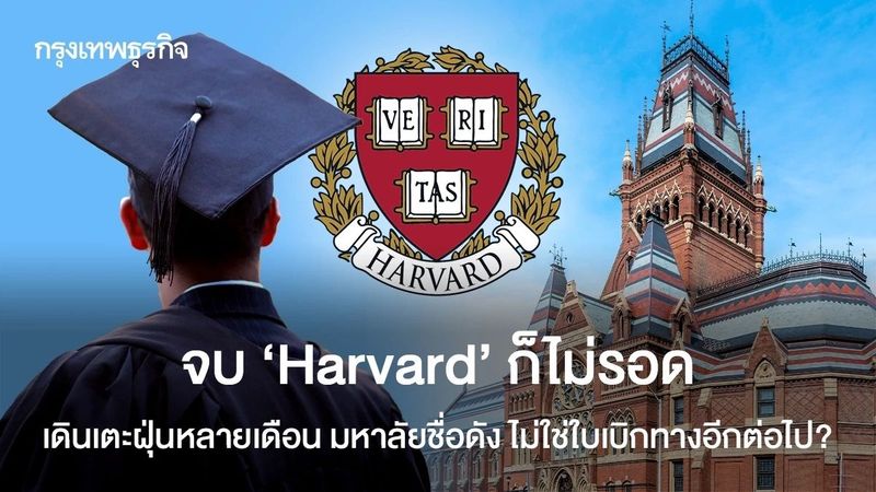 จบ ‘Harvard’ ก็ไม่รอด เดินเตะฝุ่นหลายเดือน ‘มหาลัยชื่อดัง’ ไม่ใช่ใบเบิกทางอีกต่อไป?