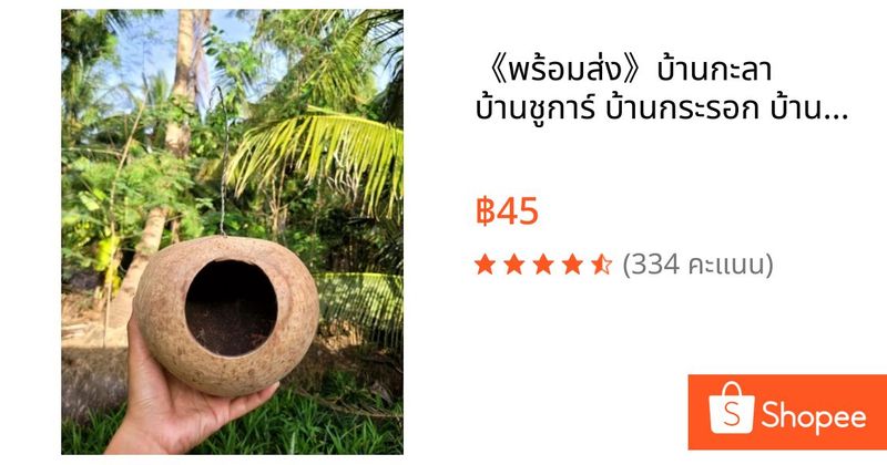 《พร้อมส่ง》บ้านกะลา บ้านชูการ์ บ้านกระรอก บ้านนก แบบขัดเรียบ | Shopee Thailand