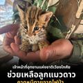 อุทยานแห่งชาติเวียงโกศัย