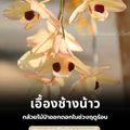 อุทยานแห่งชาติไทรโยค