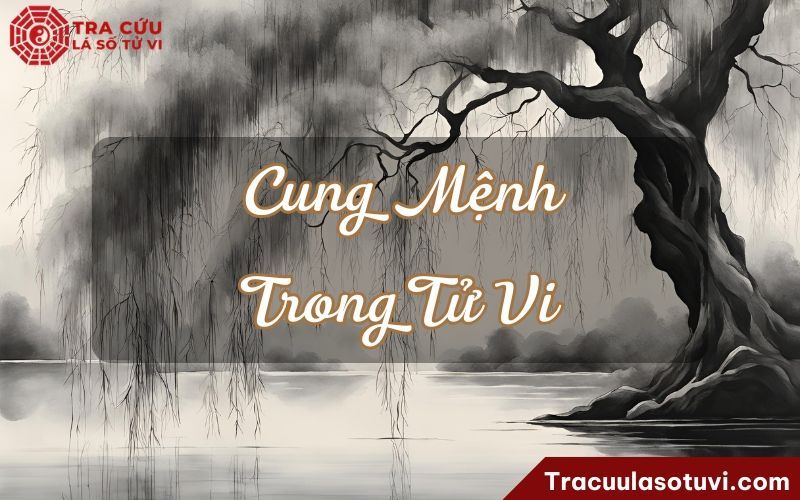 Cung Mệnh | Luận Đoán Tính Cách, Tiềm Năng Và Vận Mệnh Đời Người