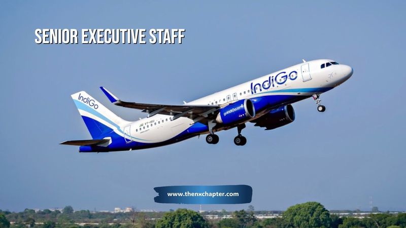 Indigo รับสมัคร Senior Executive Staff ที่สุวรรณภูมิและกระบี่ | The NX Chapter