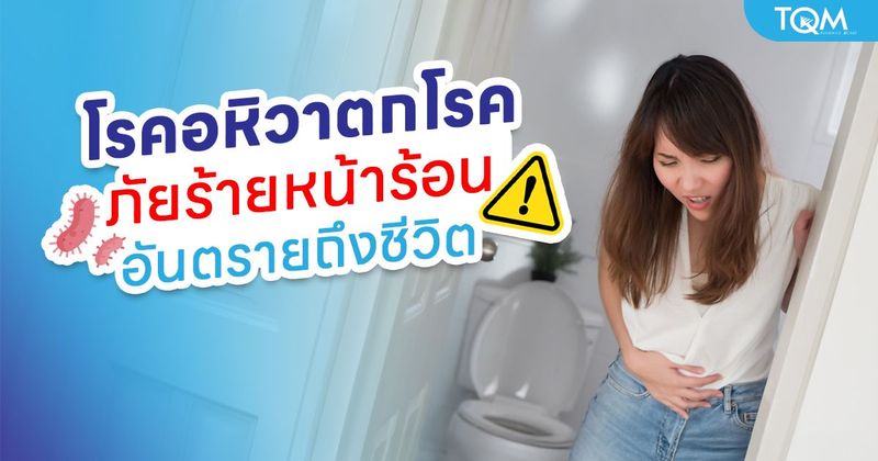 อหิวาตกโรค อันตรายถึงชีวิต เช็คอาการ สาเหตุ และวิธีป้องกันที่ควรรู้