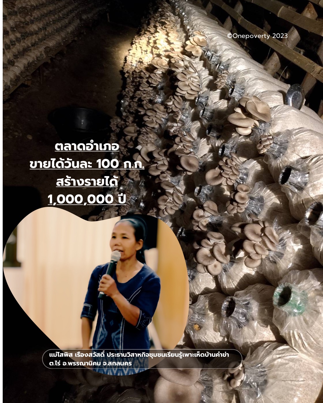 เจาะลึกตลาดเห็ดสกลนคร: อุปสงค์สูงเกินคาด โอกาสทองสำหรับผู้ผลิตรายย่อย
