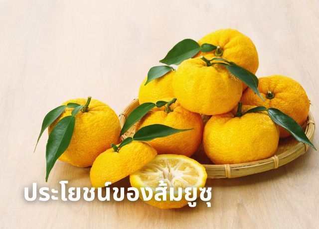 ประโยชน์นานาประการของส้มยูซุ: ผลไม้รสเปรี้ยวอมหวาน กลิ่นหอมสดชื่น