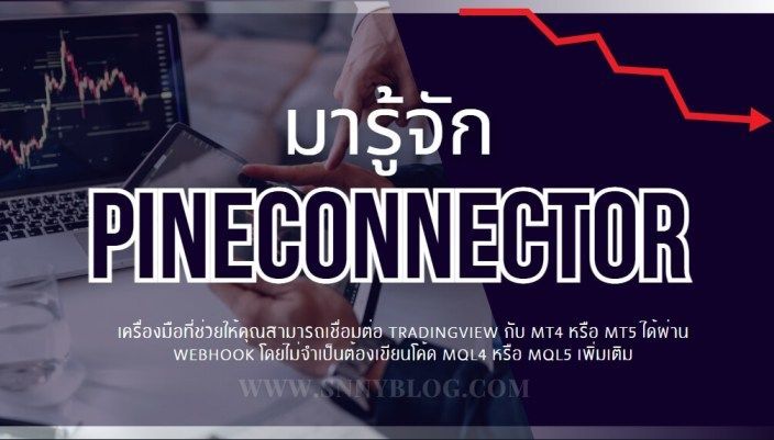 Snny Blog