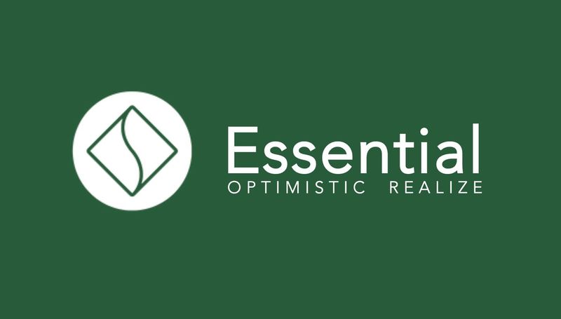 Strategic consultant | The Essential Co Ltd | Krung Thep Maha Nakhon
