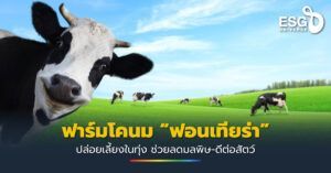 ปฏิวัติวงการอาหาร! ญี่ปุ่นเปิดตัวนักเก็ตไก่เพาะเลี้ยงในแล็บครั้งแรก เทคโนโลยีเส้นใยชีวภาพเปลี่ยนโลก – ESG Universe