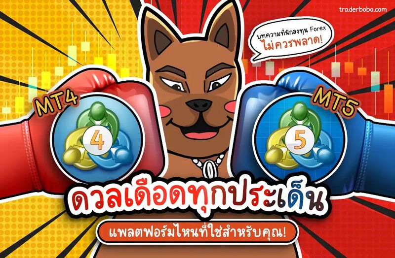 MT4 Vs MT5 ดวลเดือดทุกประเด็น แพลตฟอร์มไหนที่ใช่สำหรับคุณ!