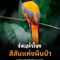 เขตรักษาพันธุ์สัตว์ป่าเขาบรรทัด