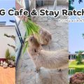 G&G Ratchaburi