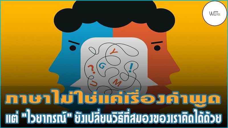 [Witly. - เปิดโลกวิทย์แบบเบา ๆ] 🧠 ภาษาไม่ใช่แค่เรื่องคำพูด แต่ ...