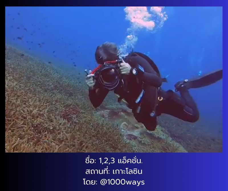 [คนแก่ เล่าเรื่องเก๋า] โลซิน:ข้อพิพาทที่ยังไร้ข้อสรุป
สารคดี:ข่าวเชิงลึก