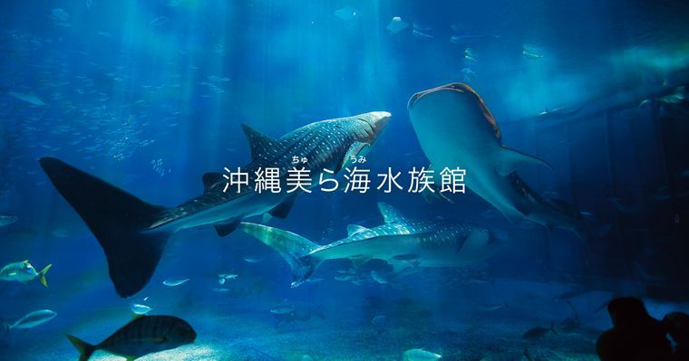 Okinawa Churaumi Aquarium