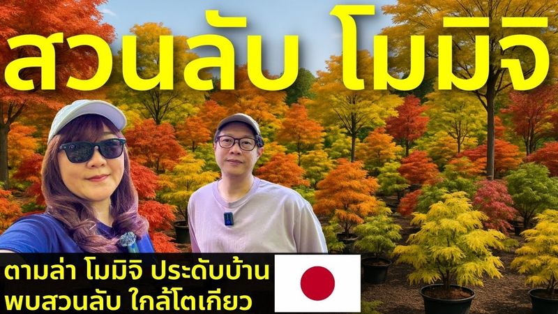 หาซื้อต้นโมมิจิประดับบ้าน เจอสวนลับใบไม้แดงสุดอลัง ไซตามะ ใกล้โตเกียว ชีวิตในญี่ปุ่น Japan vlog