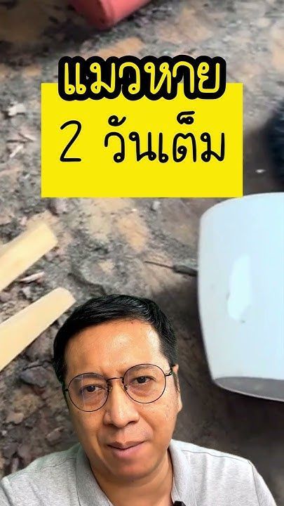 แมวหายออกจากบ้านนานสุดกี่วัน คาถาเรียกแมวหาย แมวหายจะกลับมาไหม แมวหายออกจากบ้าน จะ คิดถึง เจ้าของ ไห