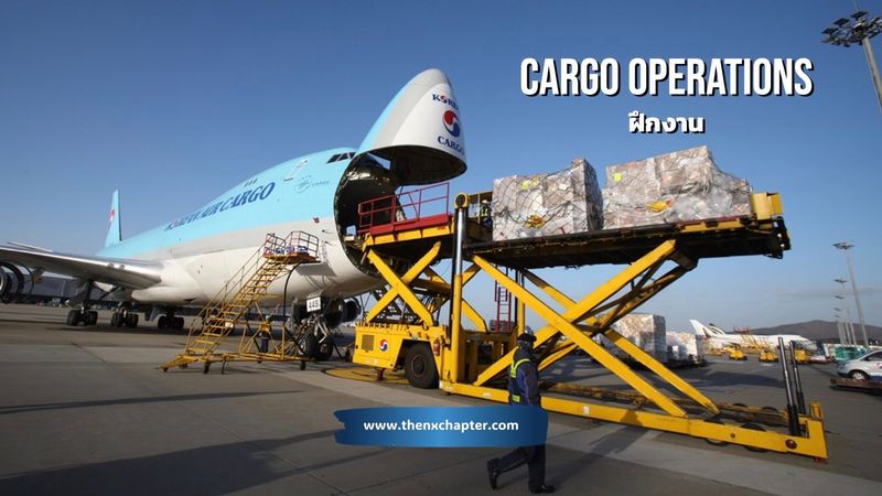 Korean Air รับสมัครนักศึกษาฝึกงาน Cargo Operations Internship | The NX Chapter