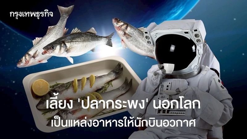 เลี้ยง ‘ปลากะพง’ นอกโลก ใช้เป็นแหล่งอาหารให้นักบินอวกาศ