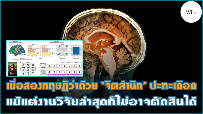 [Witly. - เปิดโลกวิทย์แบบเบา ๆ] 🧠 เมื่อสองทฤษฎีว่าด้วย ‘จิตสำนึก’ ปะทะ ...