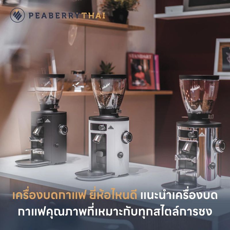 เครื่องบดกาแฟ ยี่ห้อไหนดี แนะนำเครื่องบดกาแฟคุณภาพที่เหมาะกับทุกสไตล์การชง | Peaberry Thai