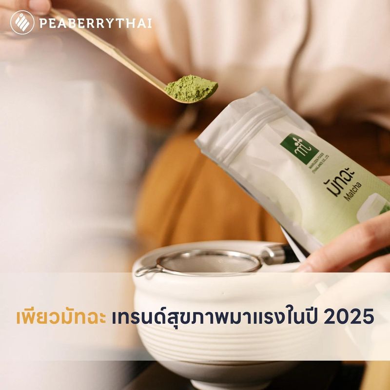 เพียวมัทฉะ เทรนด์สุขภาพมาแรงในปี 2025 | Peaberry Thai