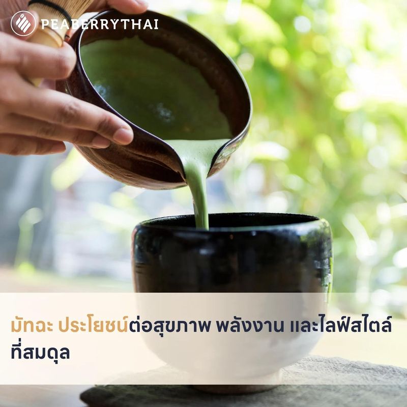 มัทฉะ ประโยชน์ต่อสุขภาพ พลังงาน และไลฟ์สไตล์ที่สมดุล | Peaberry Thai