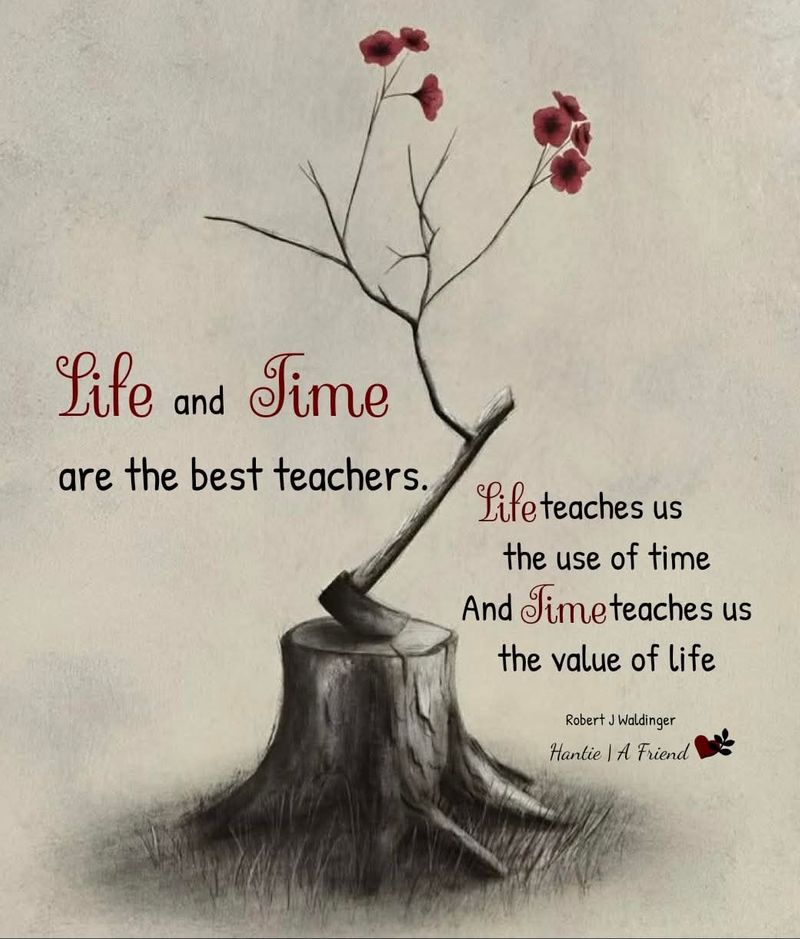 [🌾 msg 🌾] Good mindset 🌾 Good life Life and Time are the best teachers.
