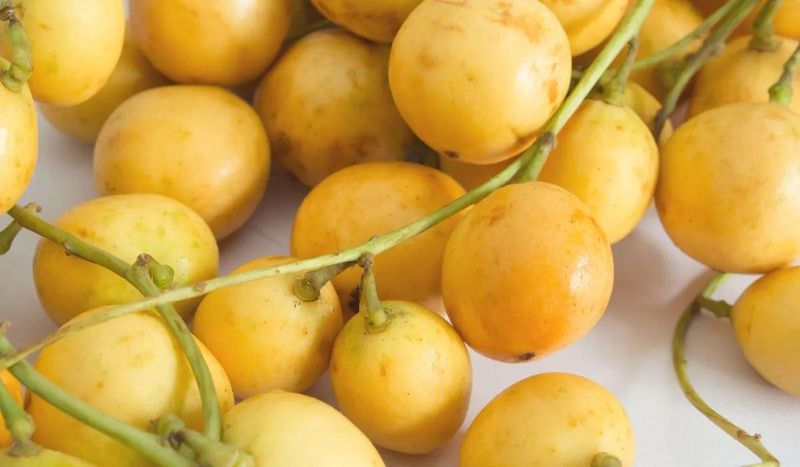 มะไฟ: ผลไม้หน้าร้อน รสชาติเปรี้ยวอมหวาน ดีต่อสุขภาพที่คุณไม่ควรพลาด