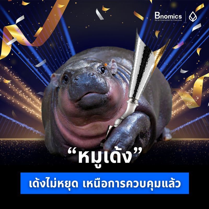 [Bnomics] “หมูเด้ง” เด้งไม่หยุด เหนือการควบคุมแล้ว
ความน่ารักและความโด่งดังของหมูเด้ง ฮิปโปแคระวัยเยาว์จากสวนสัตว์เปิดเขาเขียว ไม่ได้ทำให้แค่ผู้คนหลงรัก แต่ยังสร้างกระแสในวงการคริปโตอีกด้วย