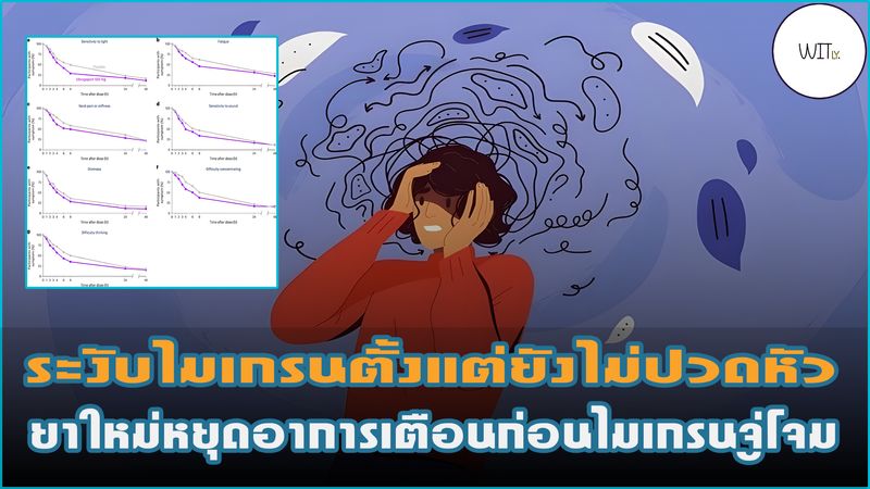 [Witly. - เปิดโลกวิทย์แบบเบา ๆ] 🧠 ระงับไมเกรนตั้งแต่ยังไม่ปวดหัว ยาใหม่ ...
