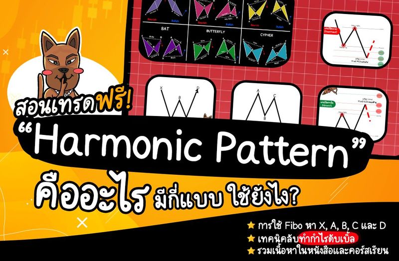 สอนฟรี! Harmonic Pattern คืออะไร มีกี่แบบ ใช้ยังไง? รวมเทคนิคในหนังสือและคอร์สเรียน Forex