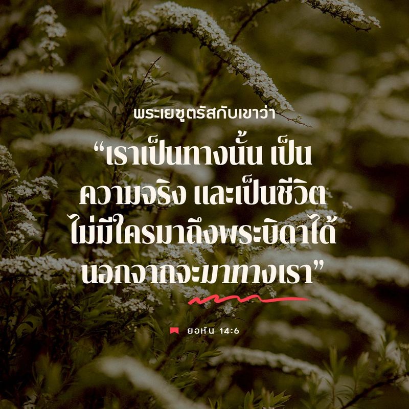 ยอห์น 14:6 พระเยซูตรัสกับเขาว่า <<เราเป็นทางนั้น เป็นความจริงและเป็นชีวิต ไม่มีผู้ใดมาถึงพระบิดาได้นอกจากจะมาทางเรา | พระคัมภีร์ไทย ฉบับ 1971 (TH1971) | Download The Bible App Now