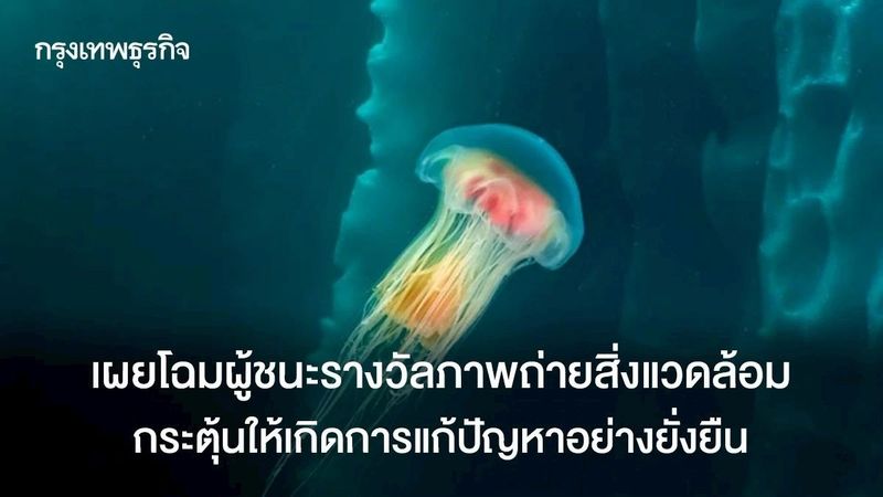 เปิดภาพรางวัลภาพถ่ายสิ่งแวดล้อมระดับโลก กระตุ้นให้เกิดการแก้ปัญหาอย่างยั่งยืน