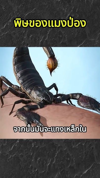 พิษของแมงป่อง