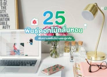 25 พันธุ์ดอกไม้กลิ่นหอม เพิ่มความสดชื่นให้บ้านและผู้อาศัย | Homeday | LINE TODAY