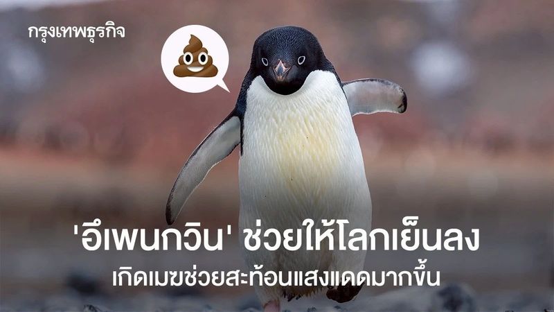 ‘อึเพนกวิน’ ช่วยให้โลกเย็นลง เกิดเมฆช่วยสะท้อนแสงแดดมากขึ้น