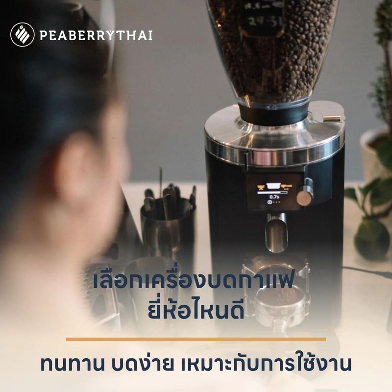 เลือกเครื่องบดกาแฟยี่ห้อไหนดี ให้ใช้ทน บดง่าย เหมาะกับการใช้งาน | Peaberry Thai