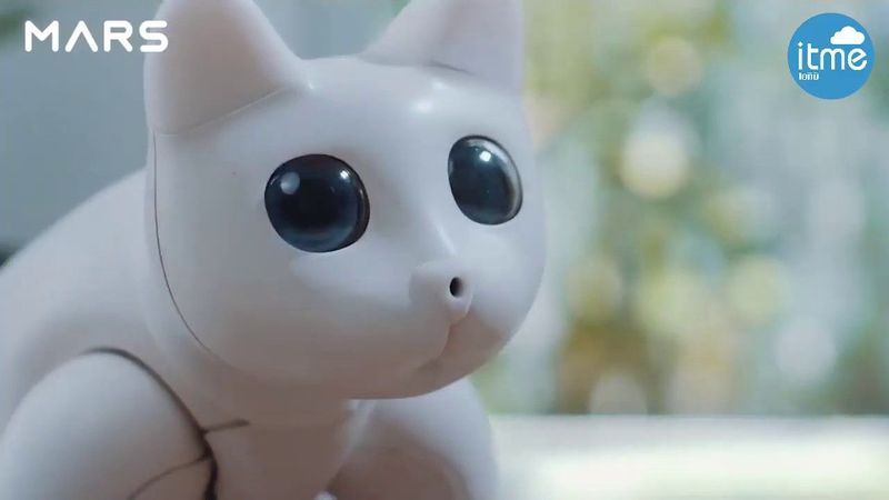 MarsCat หุ่นยนต์แมวสัตว์เลี้ยงสุดน่ารัก