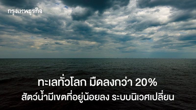 ทะเลทั่วโลก มืดลงกว่า 20% สัตว์น้ำมีเขตที่อยู่น้อยลง ระบบนิเวศเปลี่ยน