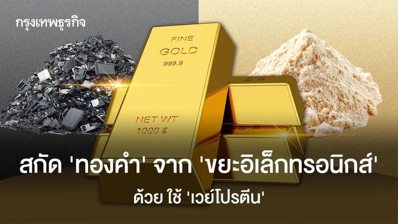 สกัด ‘ทองคำ’ จาก ‘ขยะอิเล็กทรอนิกส์’ ด้วย ‘เวย์โปรตีน’