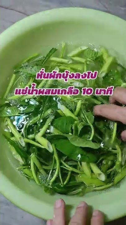 @maetu-23 EP.30 #ผัดผักบุ้งไม่ให้ดำ