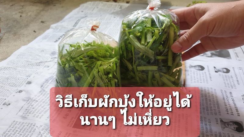 ครัวครู Cool : วิธีเก็บผักบุ้ง ให้ได้นานๆ ง่ายมากๆเลย ใช้ได้จริง!!! #วิธีเก็บผักบุ้ง #วิธีเก็บผัก