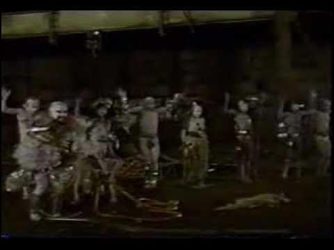 Einstürzende Neubauten..........tanzt das ZNS.mp4