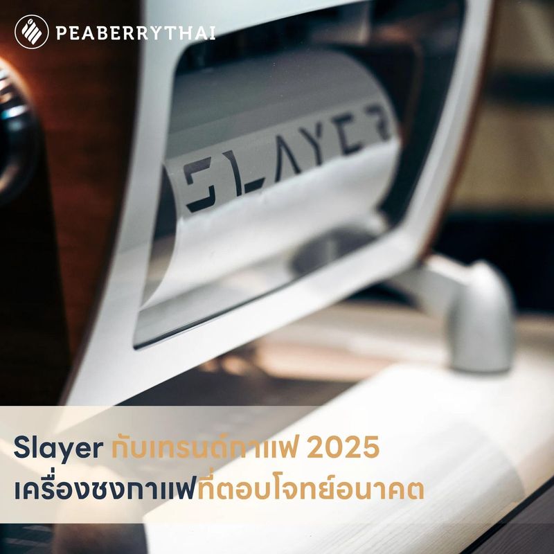 Slayer กับเทรนด์กาแฟ 2025 เครื่องชงกาแฟที่ตอบโจทย์อนาคต | Peaberry Thai