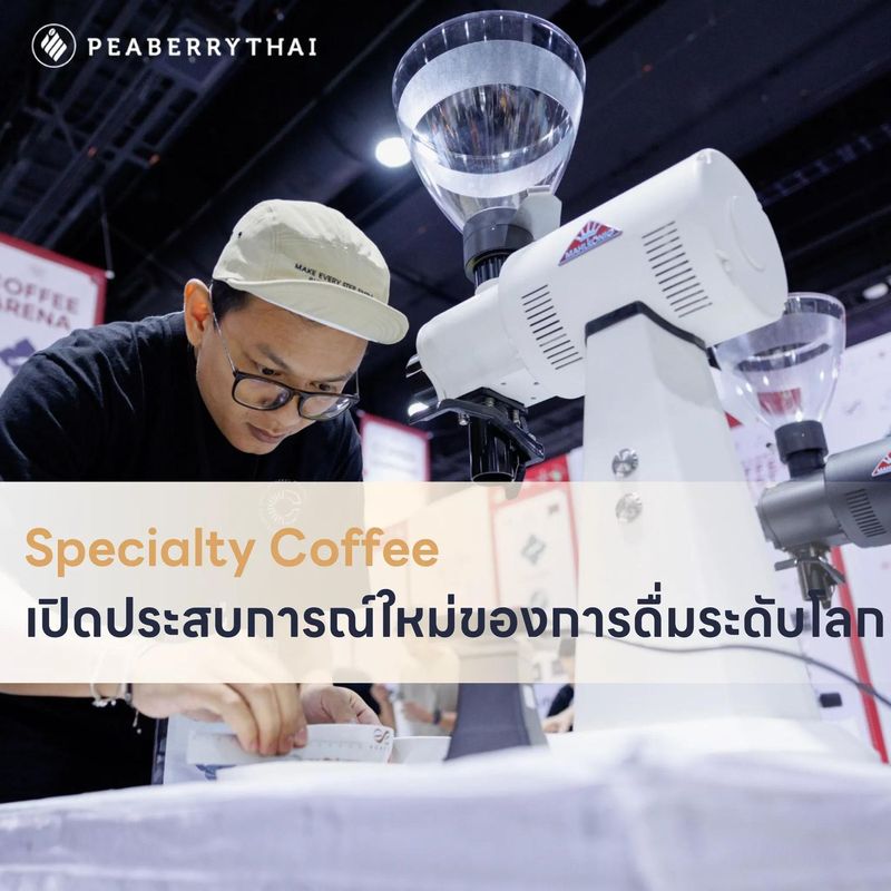 Specialty Coffee เปิดประสบการณ์ใหม่ของการดื่มกาแฟระดับโลก | Peaberry Thai