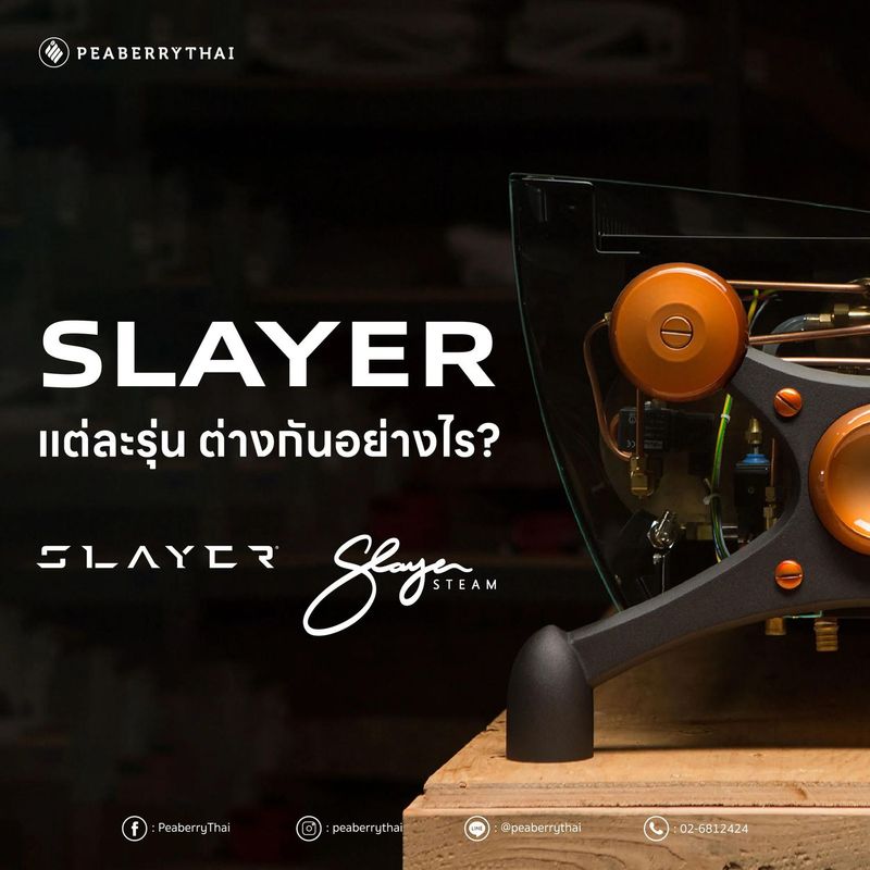Slayer แต่ละรุ่นมีความแตกต่างกันอย่างไรบ้าง ? | Peaberry Thai
