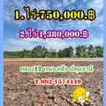 น้าอ้วนคลอง12(น้าอ้วนบ้านเกษตรพอเพียง)