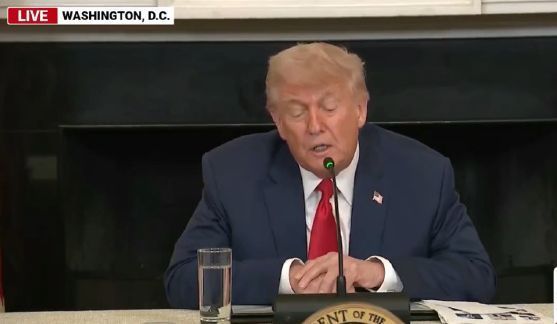 [The Last karuda] อะไรคือเหตุผลในการจับกุมผู้ว่าการนิวซัม?
เปโลซี(Nancy Pelosi)ก็ลุกขึ้นมาตอบโต้แล้ว เมื่อทรัมป์เรียกร้องให้มีการจับกุมผู้ว่าการรัฐแคลิฟอร์เนีย